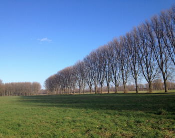 Naturschutzgebiet Düffel / Niederrhein