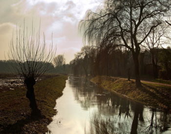 Naturschutzgebiet Düffel / Niederrhein